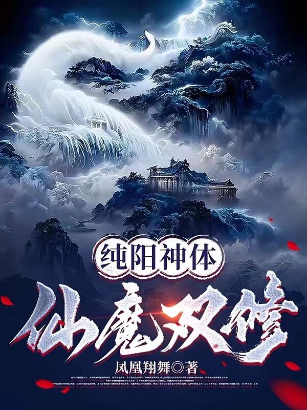 小说纯阳仙尊